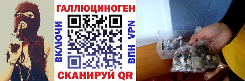 Галлюциногенные грибы прущие грибы  Белогорск 